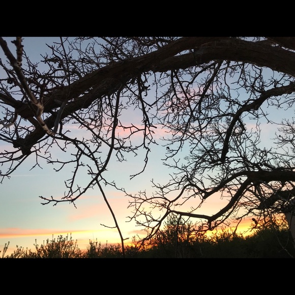 Meet your Posher, Mallory - Picture 1 of 1